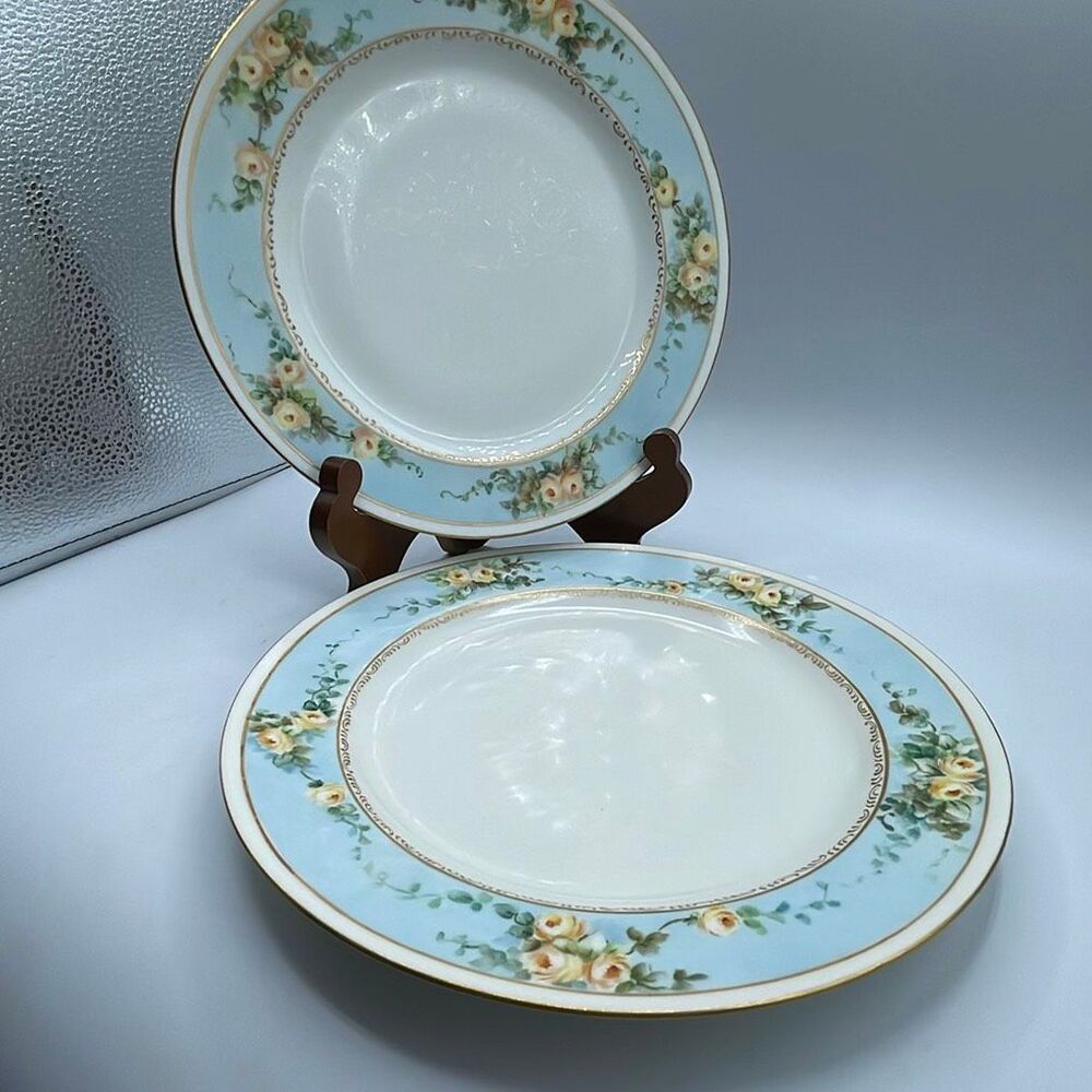 Lot  of 2 Haviland Limoges France floral edge plates.